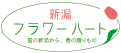 �V���t�����[�n�[�g