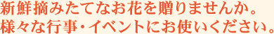 �V�N�Ō��C�Ȃ��Ԃ𑡂�܂��񂩁B�l�X�ȍs����C�x���g�ɂ��g�����������B